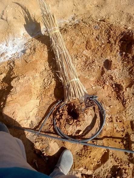 السبب لو سمحتو مع العلم حاقن توبسين من اسبوعين و دبل امبارح والعلاج